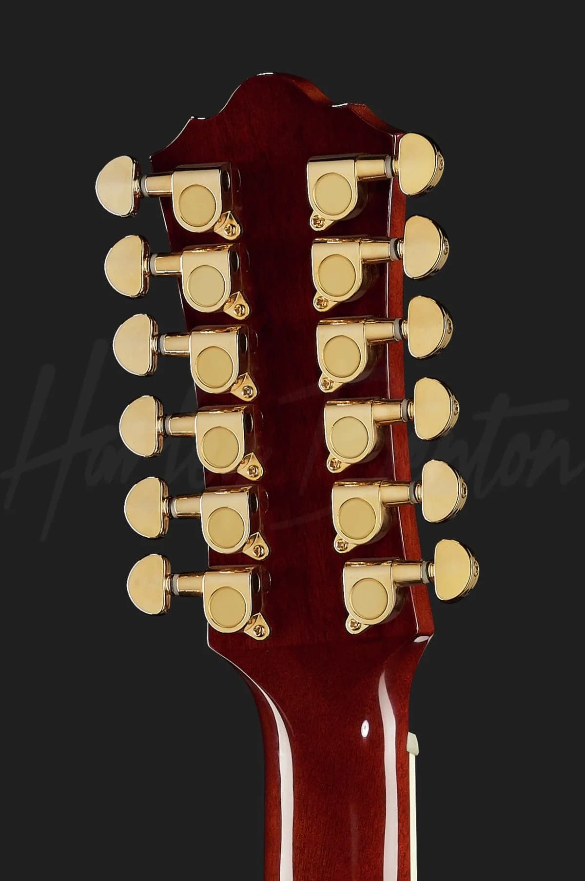 Harley Benton CLJ-412E 3SB — photo 7