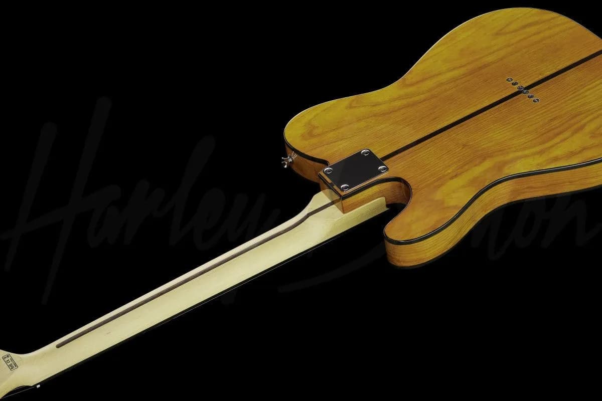 Harley Benton TE-80 NA — photo 8