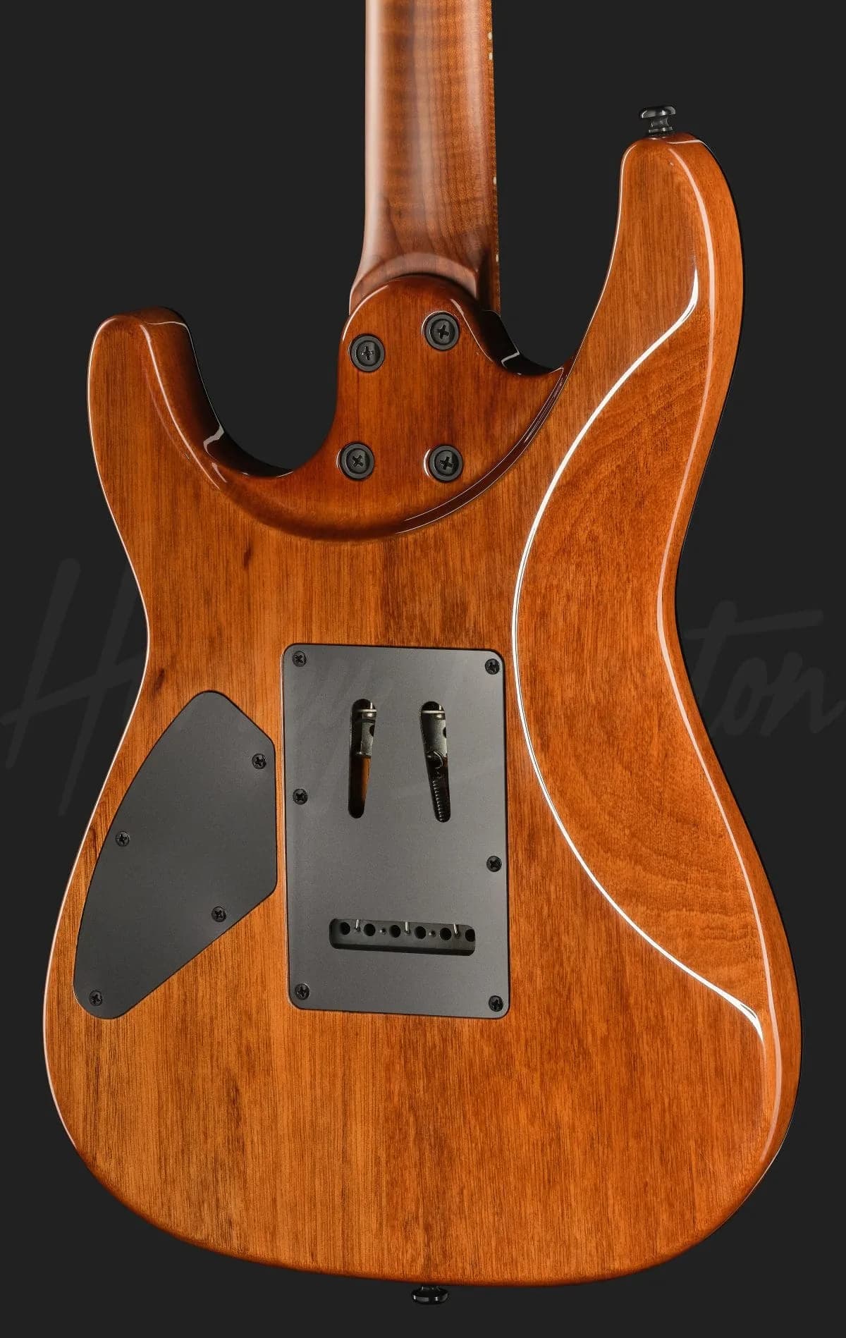 Harley Benton Fusion-IV HSH MN WM — photo 5