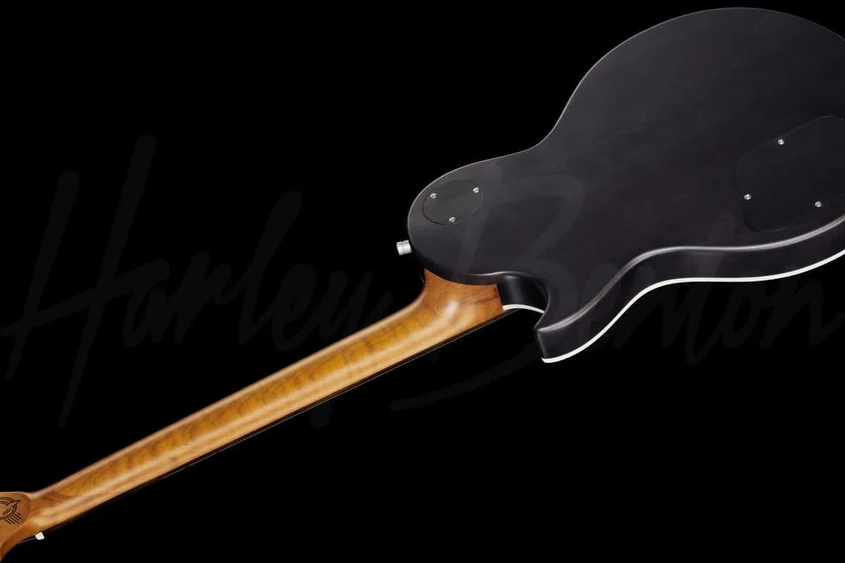 Harley Benton Agufish Custom Signature PB LTD — photo 8