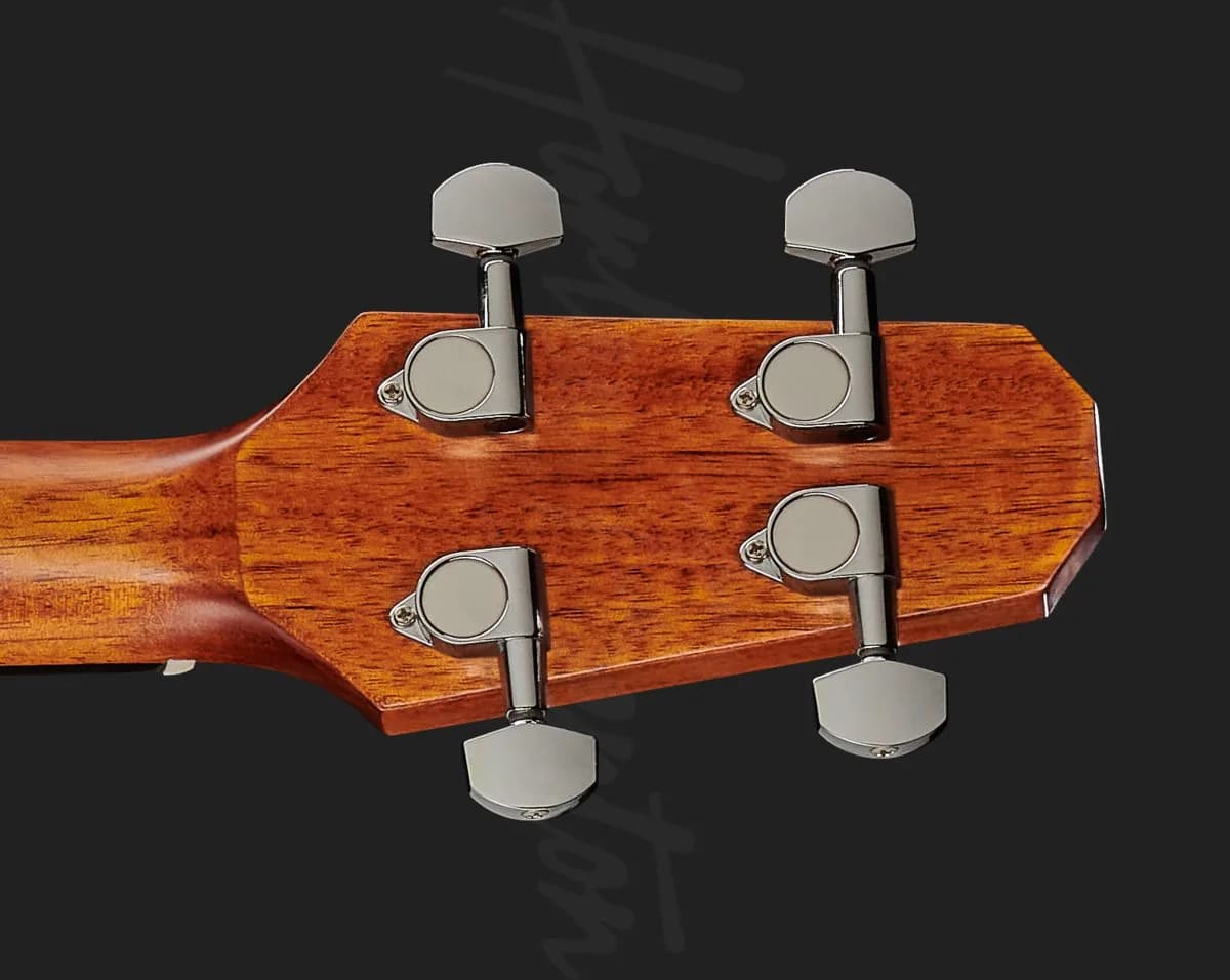 Harley Benton GS-Travel-E Bass Mahogany — photo 7