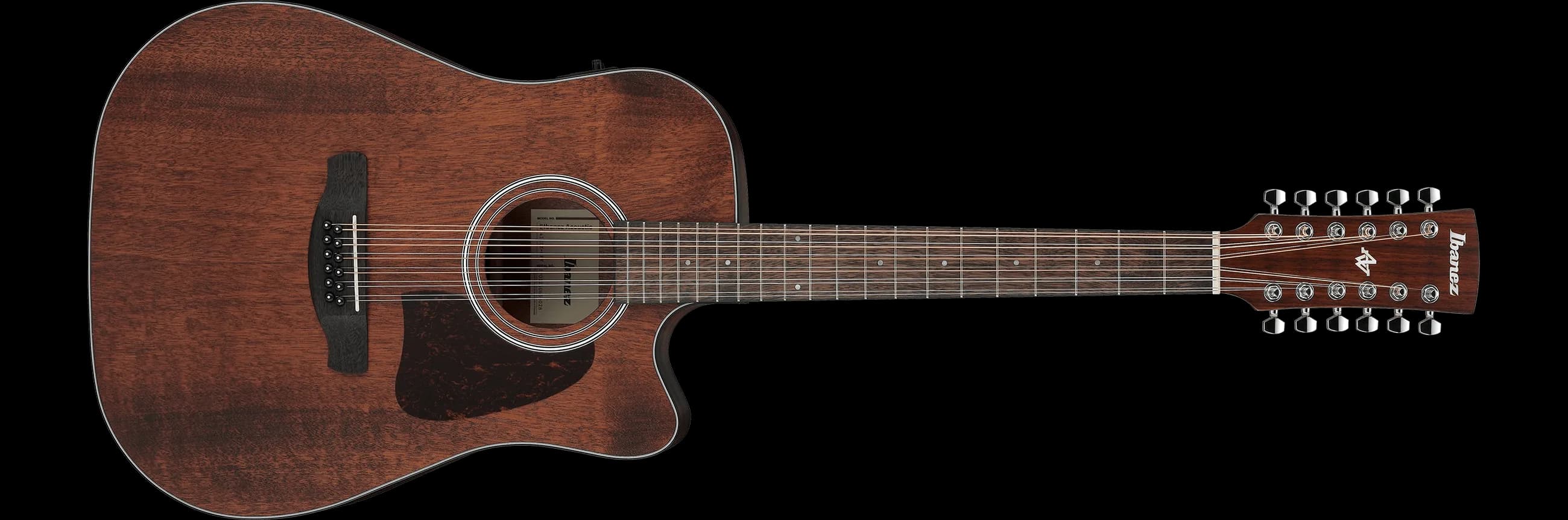 Ibanez AW5412CE