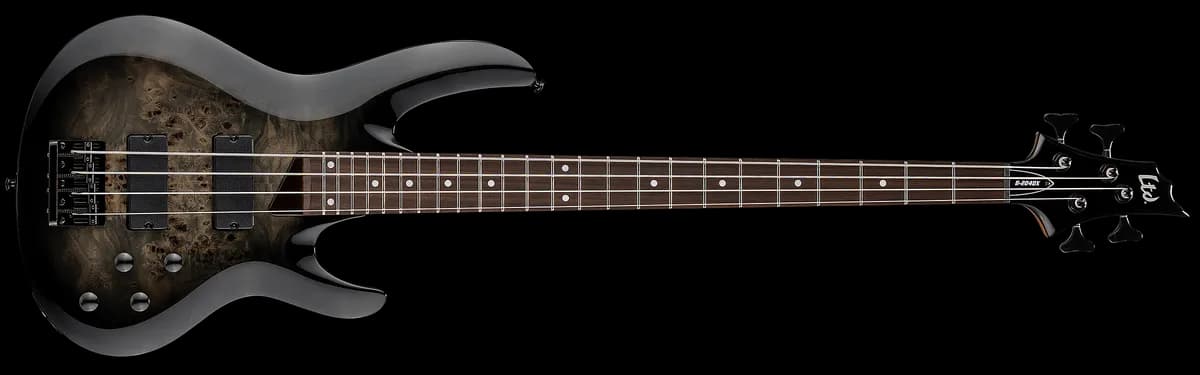 ESP B-204DX Black Burst