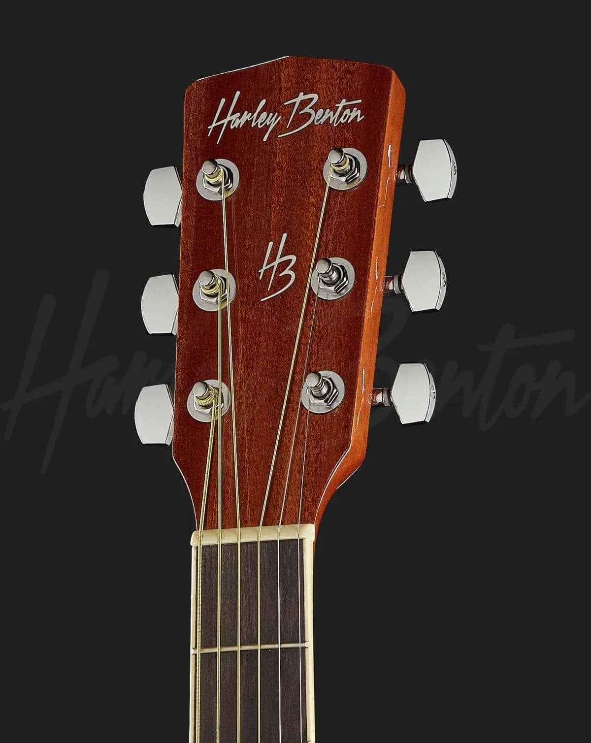 Harley Benton D-120 VS — photo 6