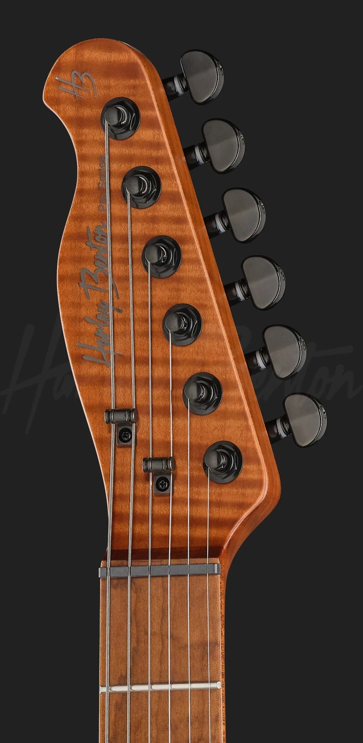 Harley Benton Fusion-T II EMG MN HT SBK — photo 6