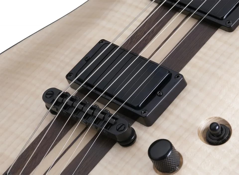 Schecter C-1 40th Anniversary — photo 7