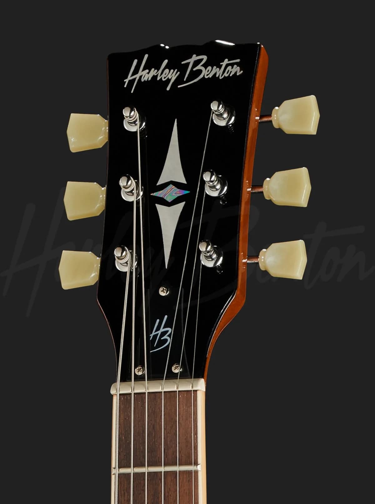 Harley Benton SC-450Plus GT — photo 6