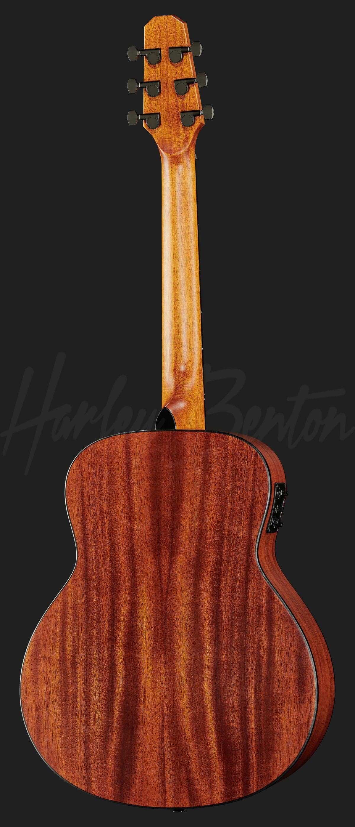 Harley Benton GS-Travel-E Mahogany — photo 3