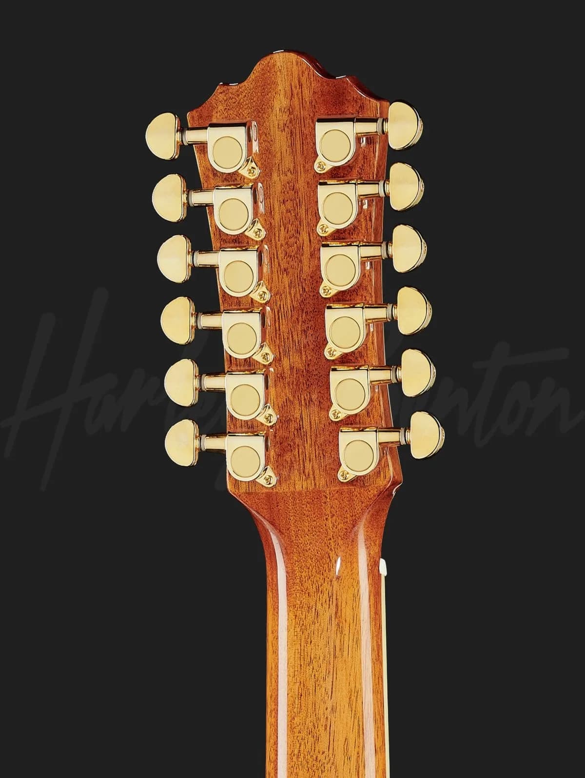 Harley Benton CL CLJ-412E NT — photo 5