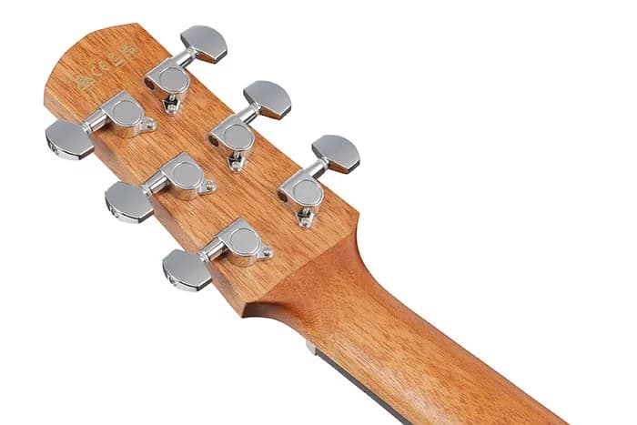 Ibanez AAM50CE — photo 4