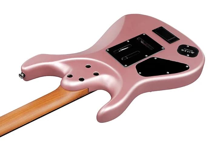 Ibanez TOD10 — photo 5