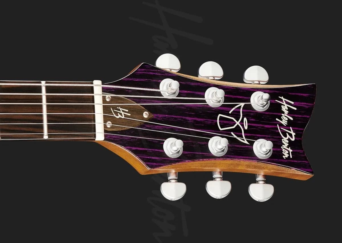 Harley Benton Agufish Custom Signature PB LTD — photo 6