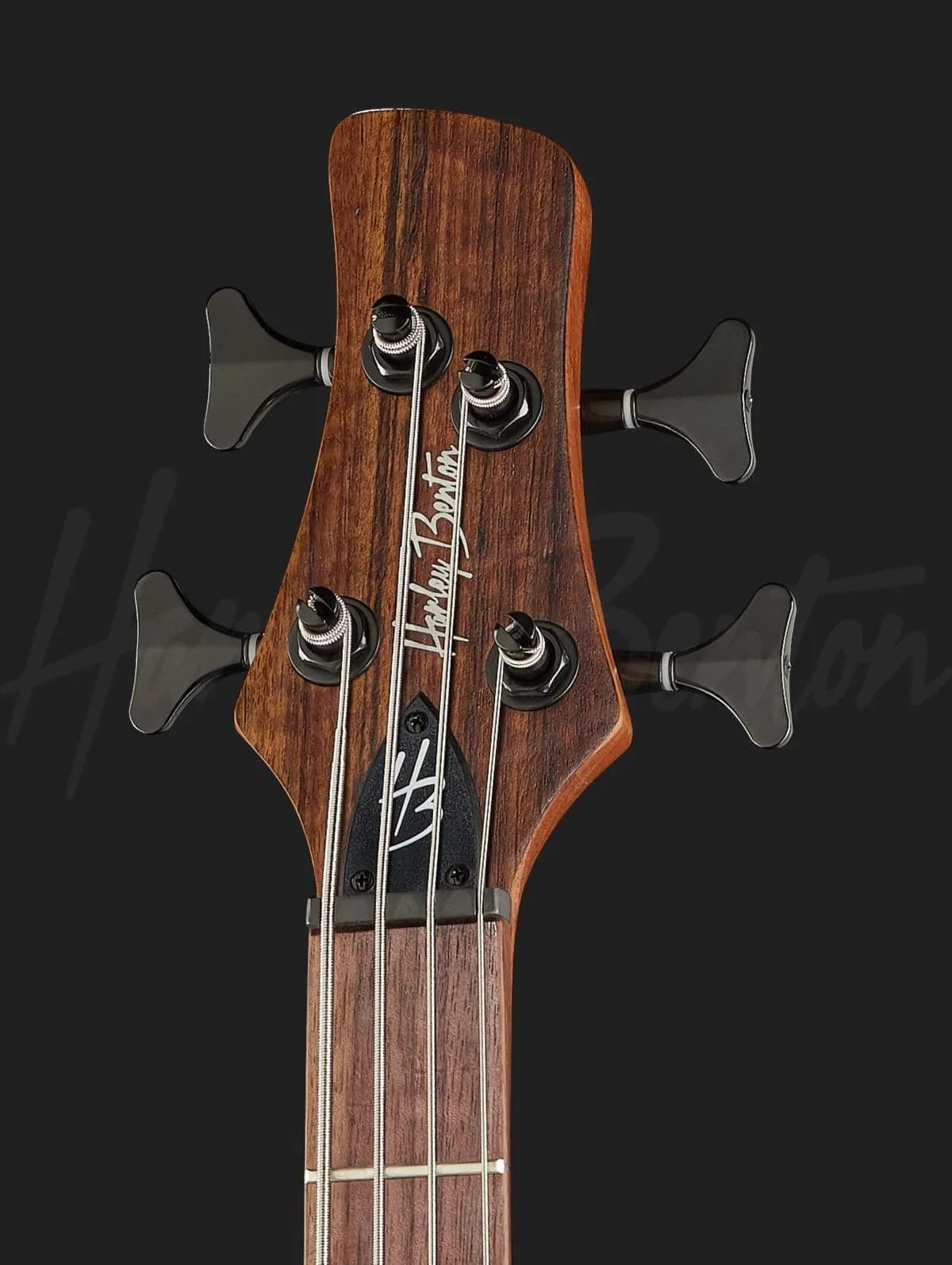 Harley Benton HBZ-2004 — photo 6