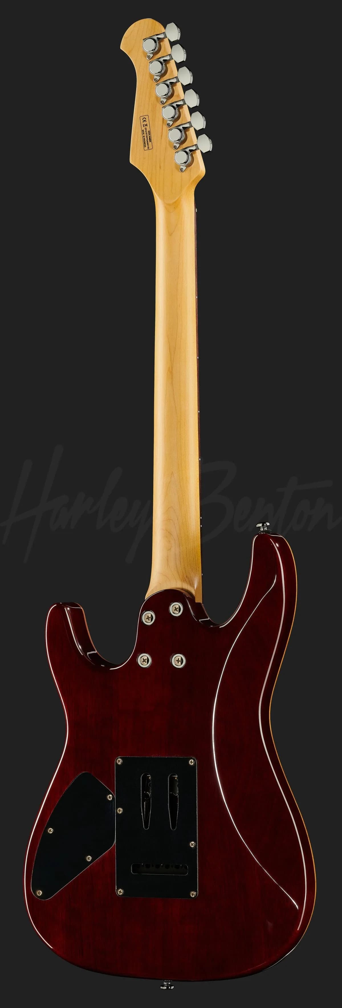 Harley Benton Fusion-III HH EB OCT — photo 3