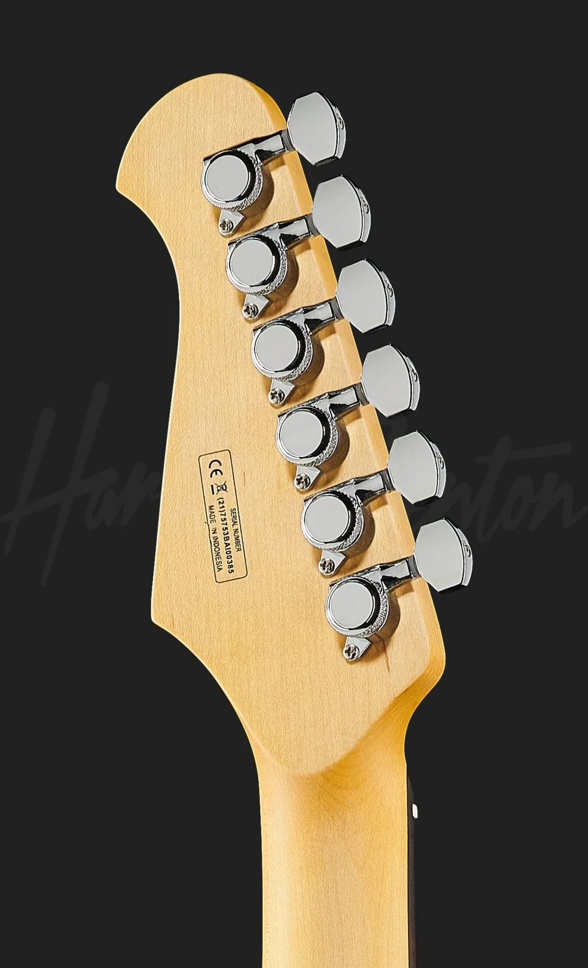 Harley Benton Fusion-III HH EB BK — photo 7