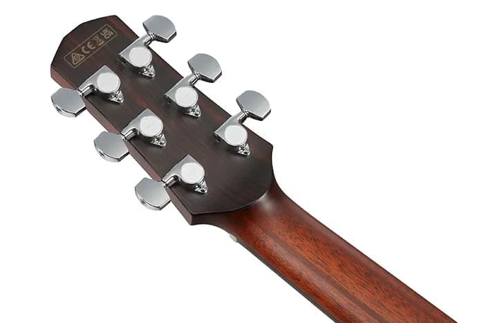 Ibanez AAM700CE — photo 2