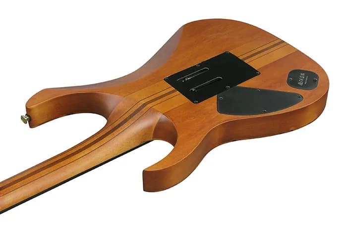 Ibanez RGT1220PB — photo 3