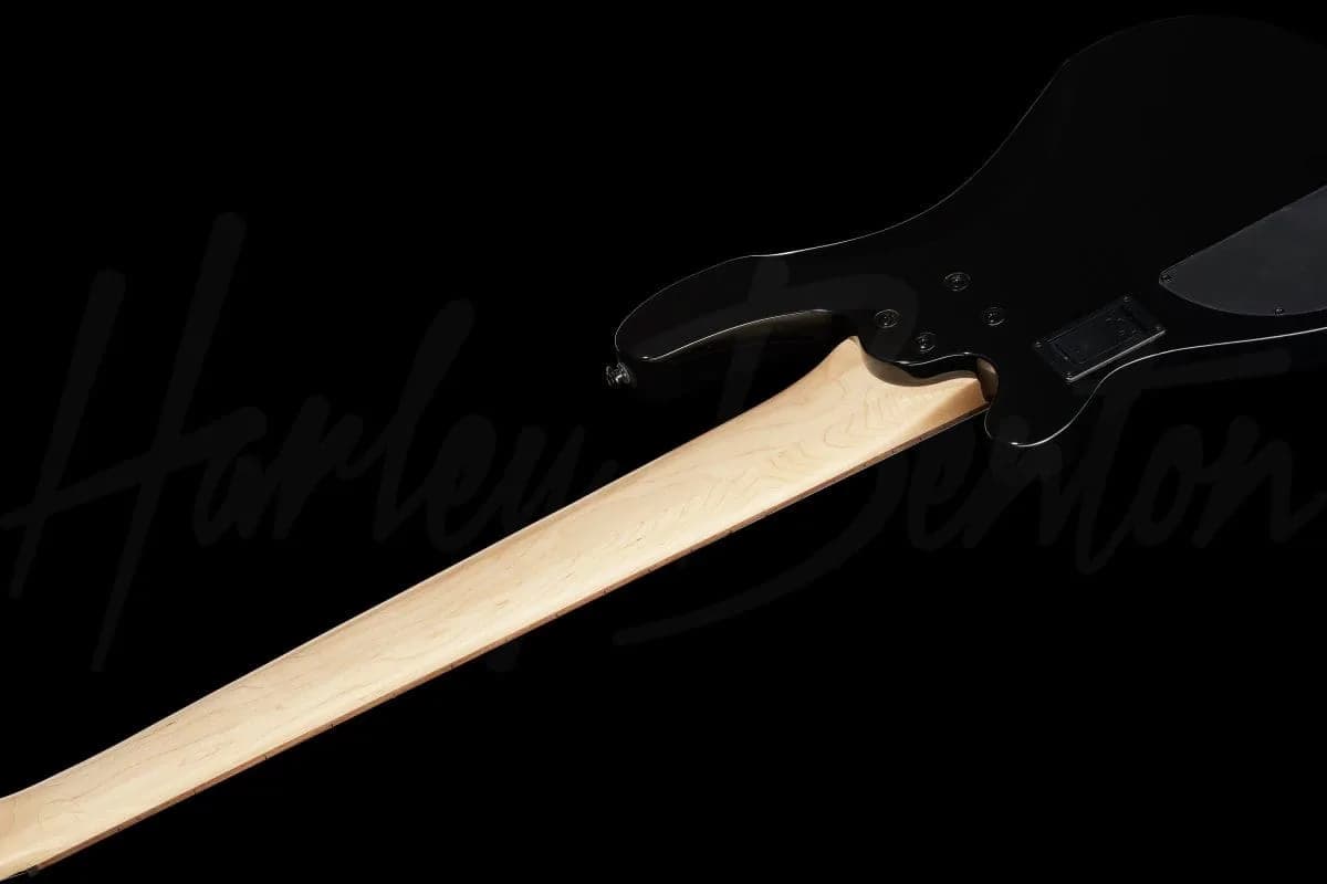 Harley Benton B-650 BK — photo 8
