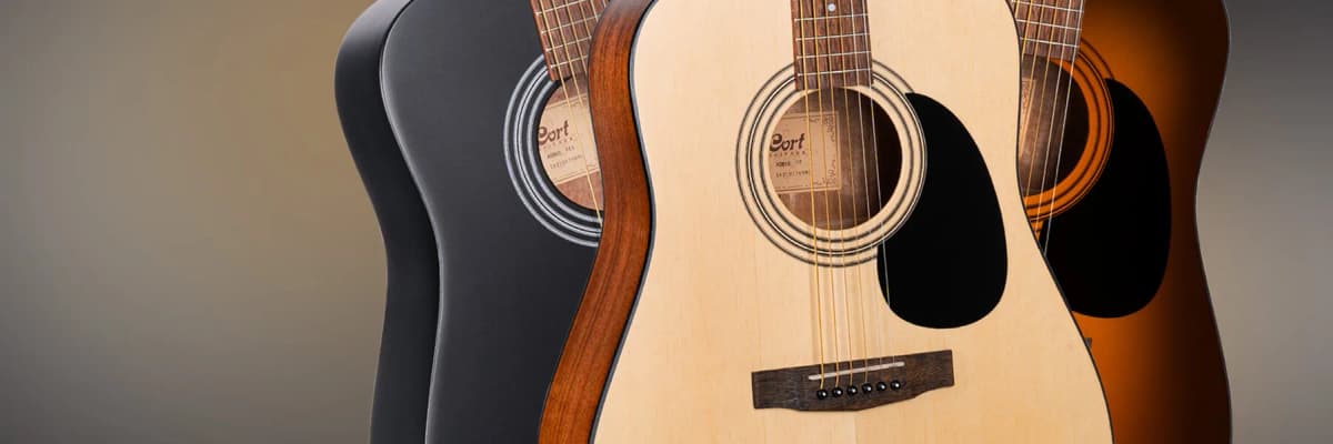 Cort Standard AD810