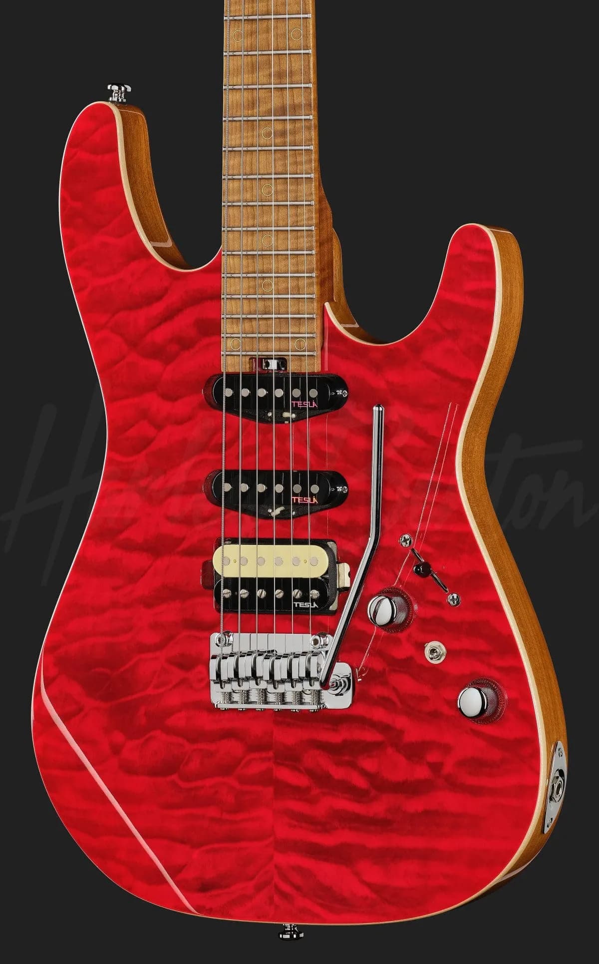 Harley Benton Fusion-IV HSS MN QRG — photo 4