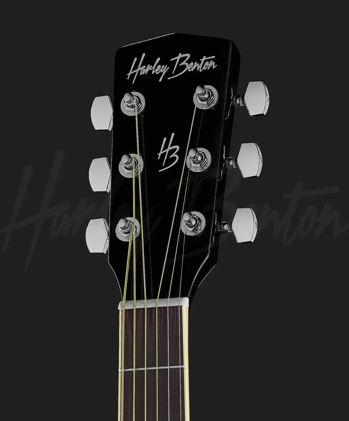Harley Benton D-120 BK — photo 6