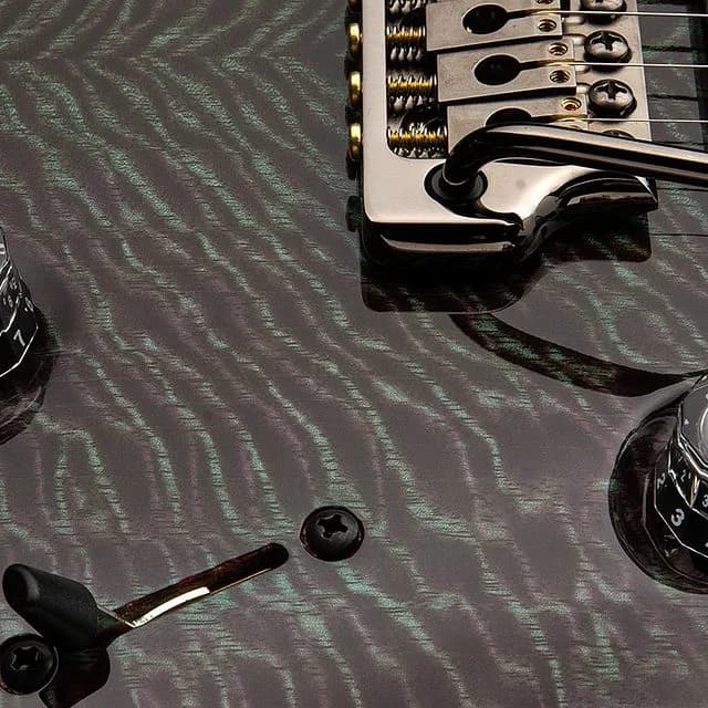 PRS Custom 24 Mango Top Limited Edition — photo 5