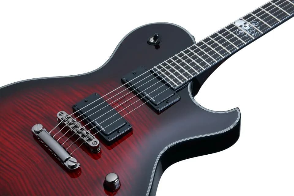 Schecter Blackjack SLS Solo-6 A Hell's Gate — photo 3