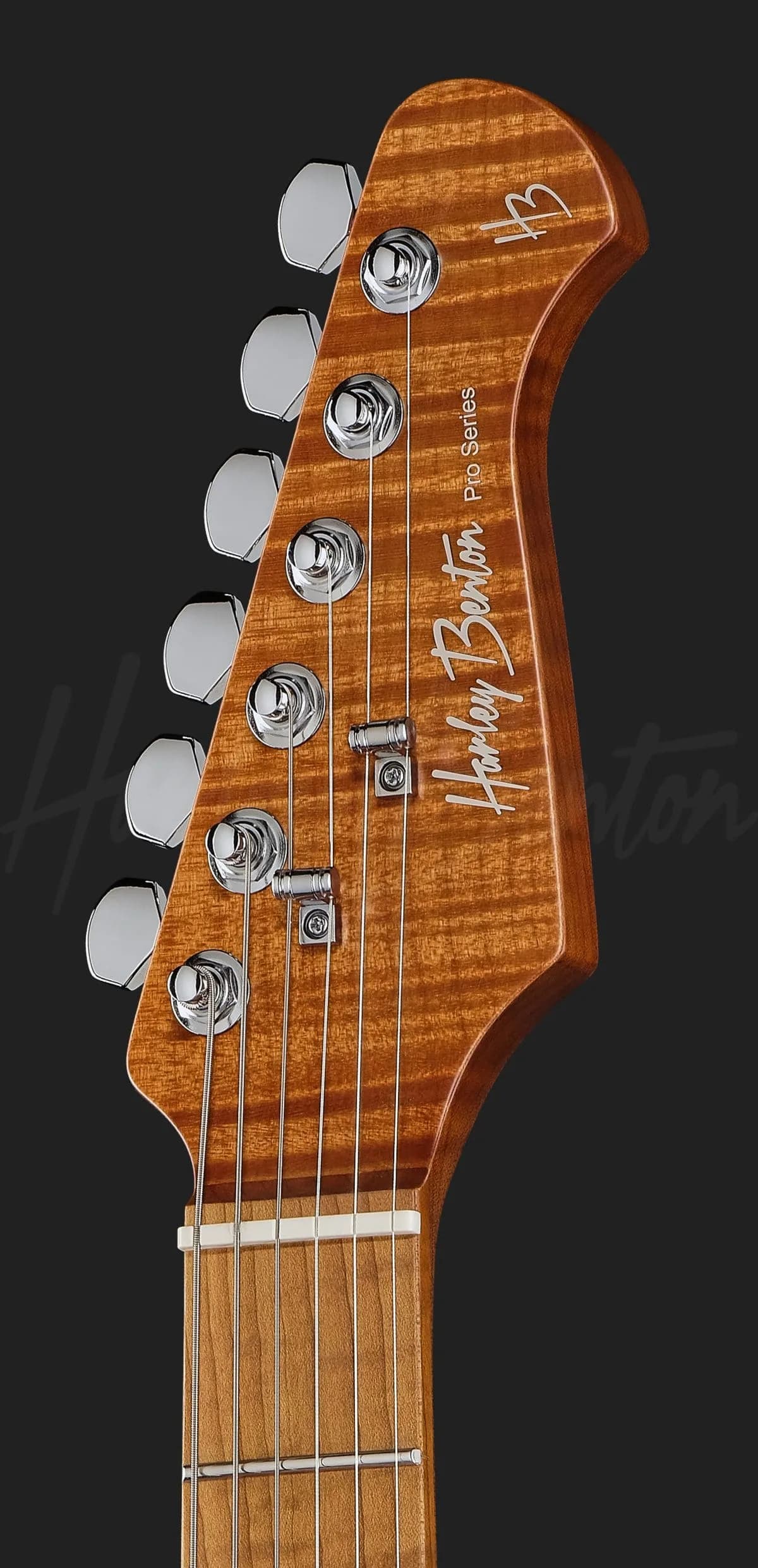 Harley Benton Fusion-IV HSS MN QRG — photo 6