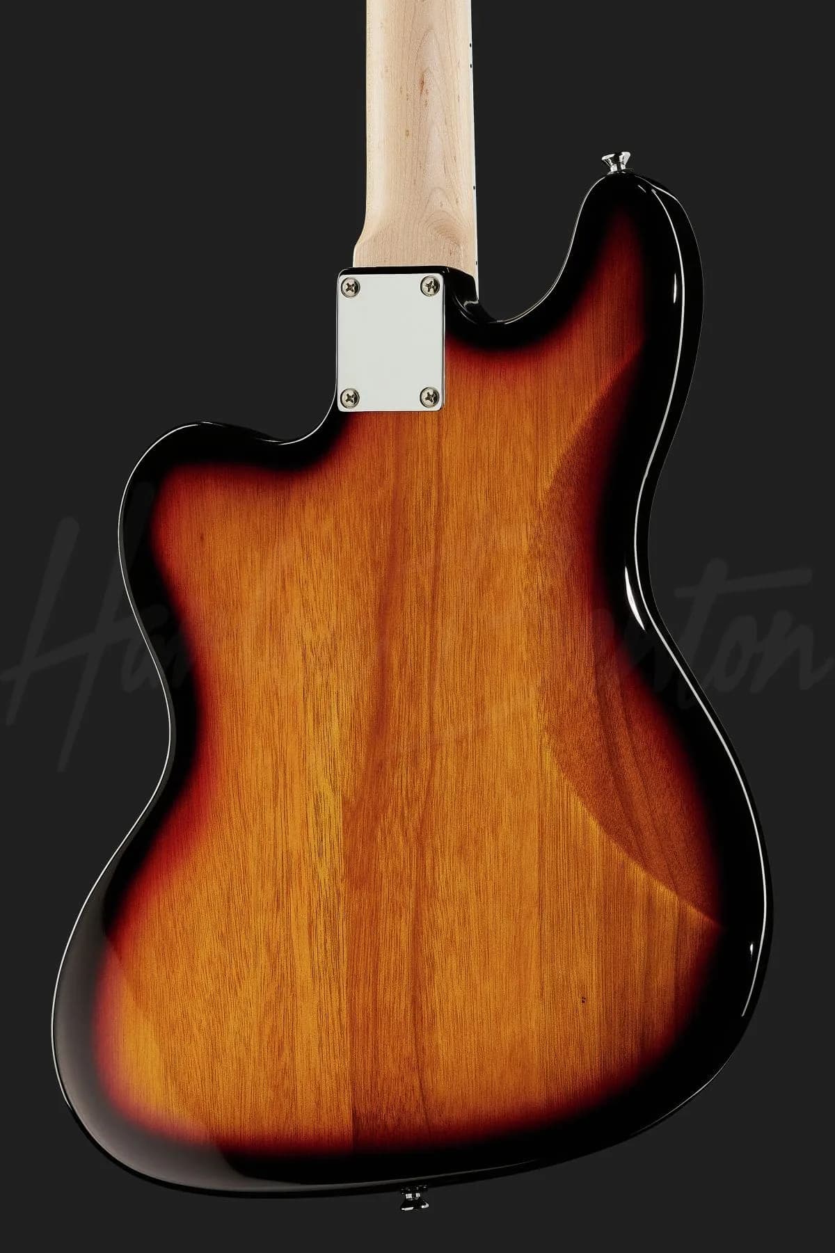 Harley Benton GuitarBass VS — photo 5
