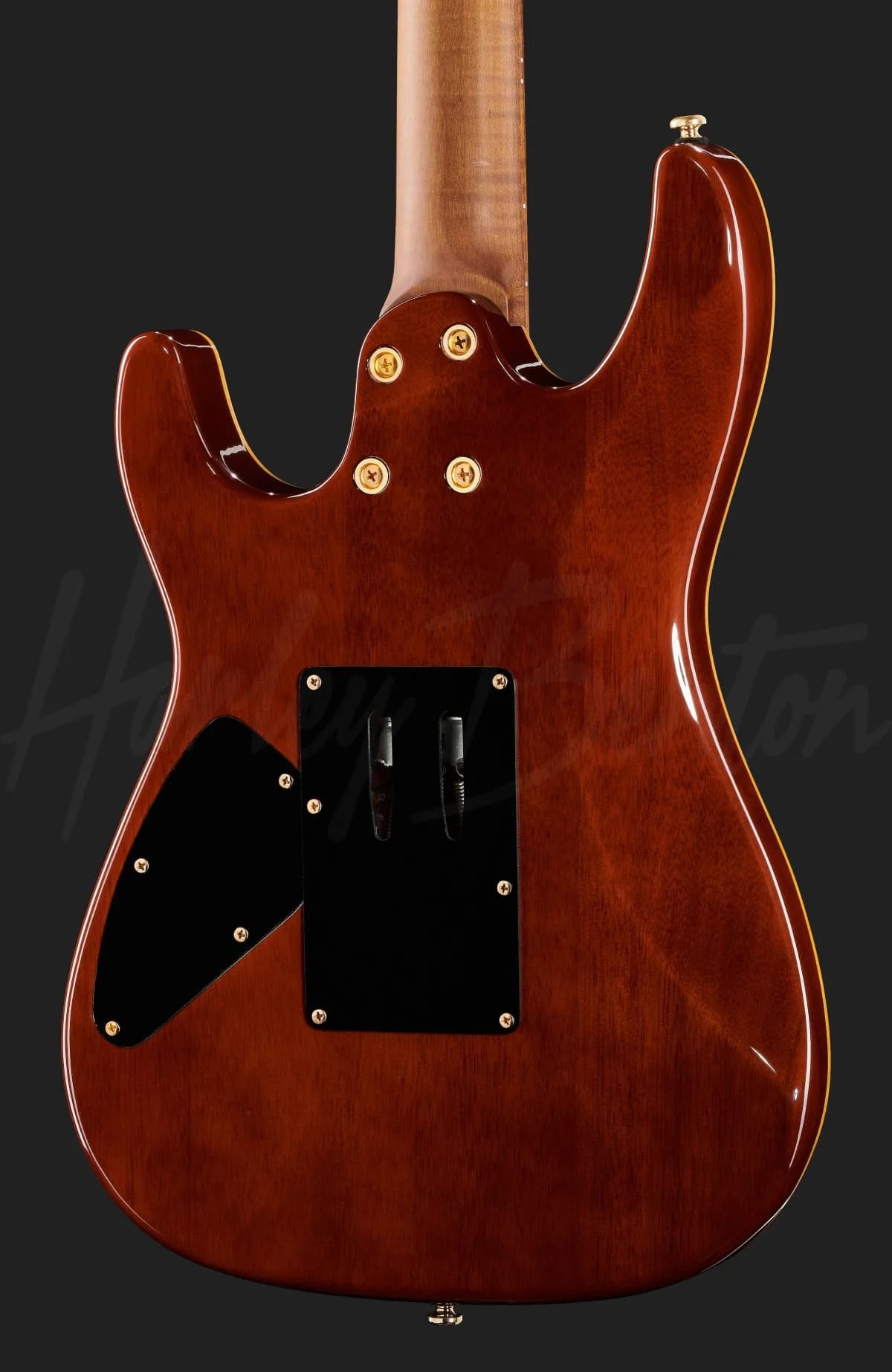 Harley Benton Guitar MAX Fusion Signature — photo 5