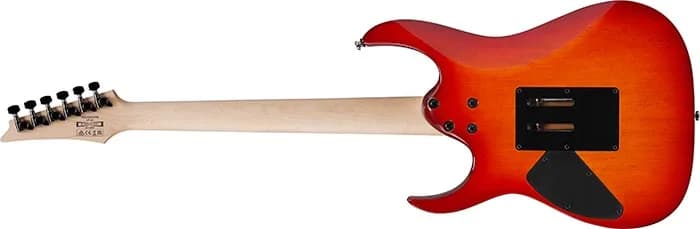 Ibanez RG470DXFM — photo 5