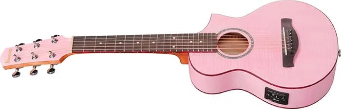 Ibanez EWP17M2E — photo 4