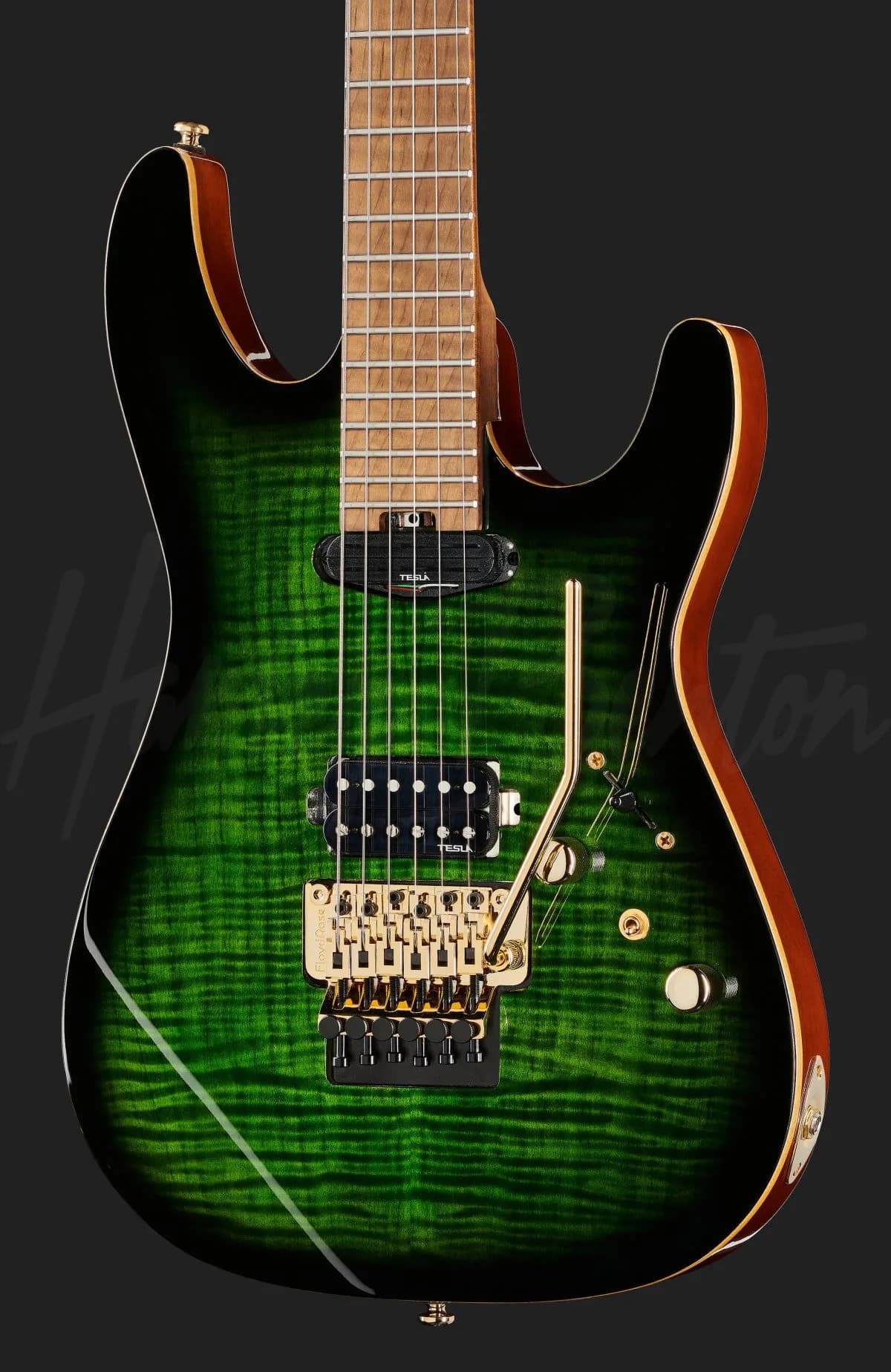 Harley Benton Guitar MAX Fusion Signature — photo 4