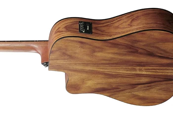 Ibanez V40WSCE — photo 3