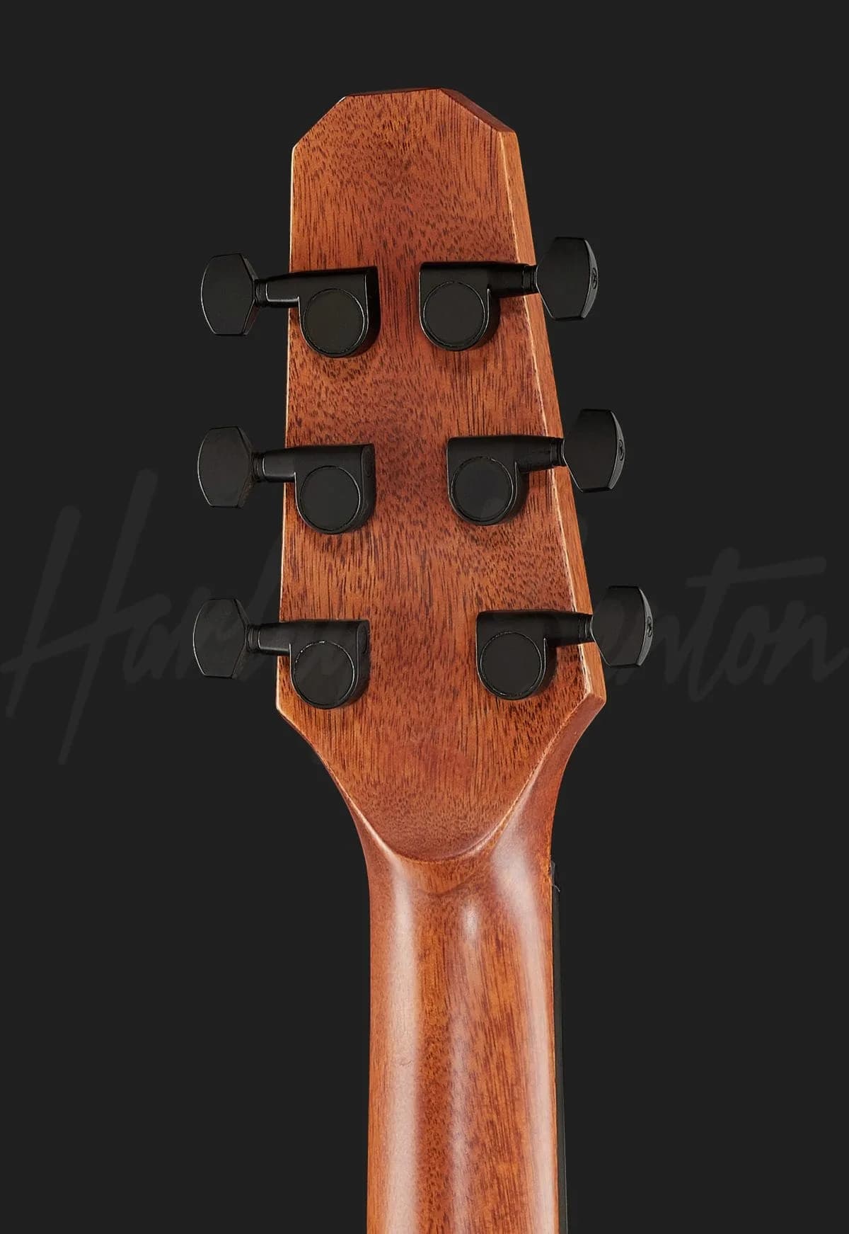 Harley Benton GS-Travel Spruce — photo 7