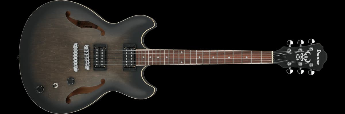 Ibanez AS53 — photo 2