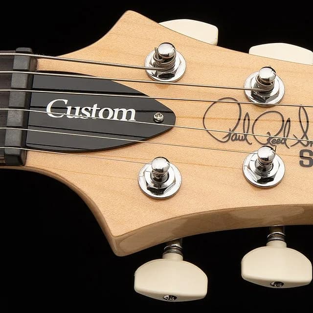PRS SE Custom 24