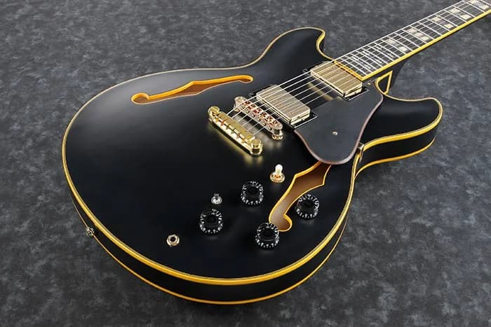 Ibanez JSM20 — photo 2