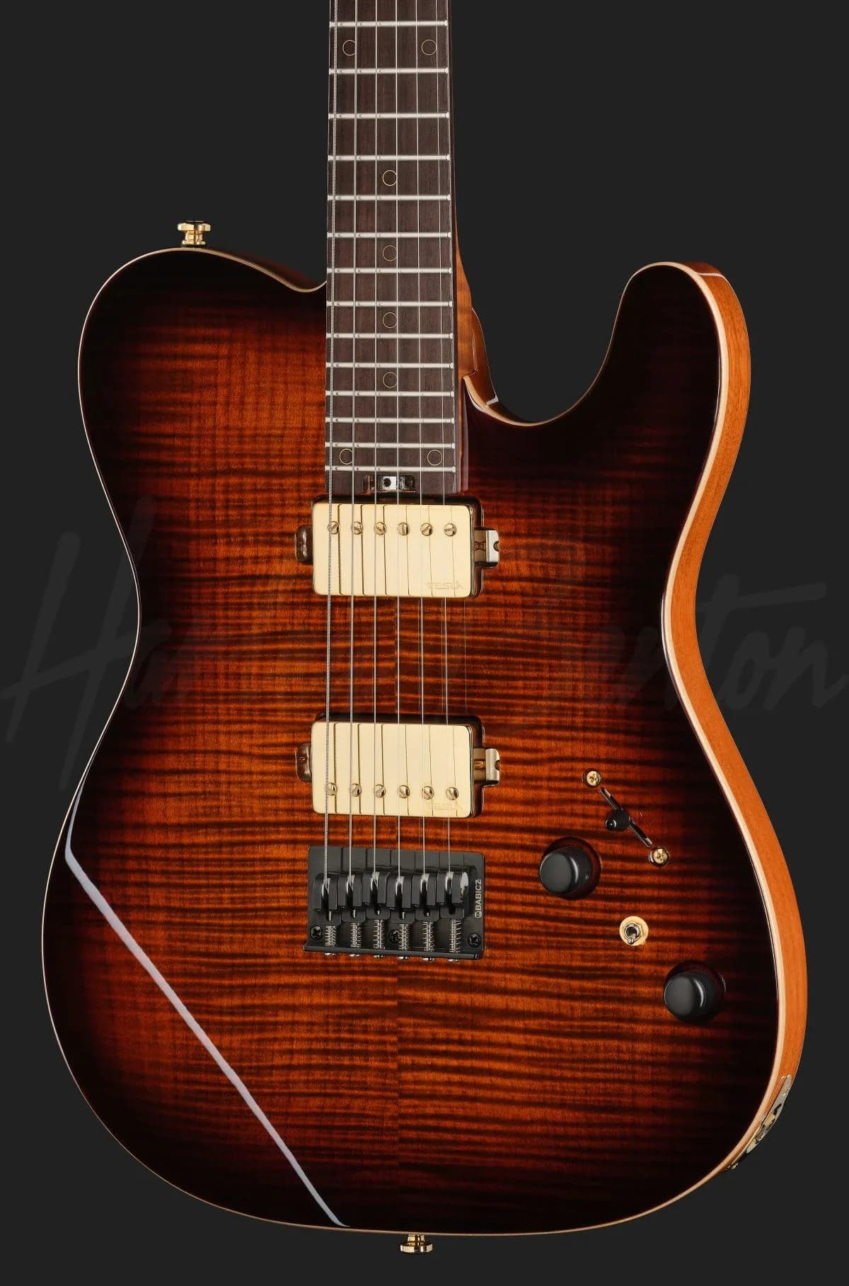 Harley Benton Fusion-T II HH RW HT FBB — photo 4