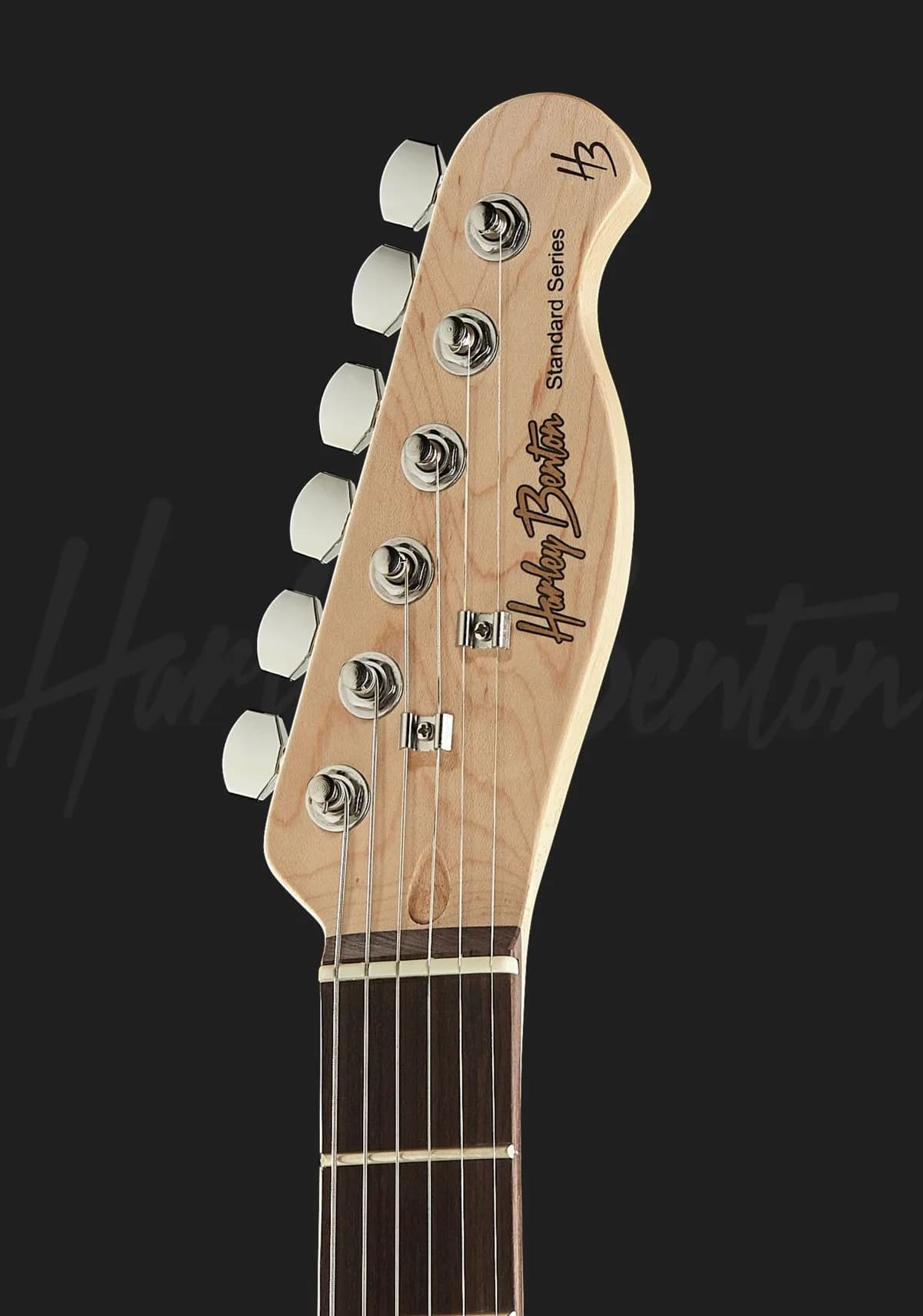 Harley Benton TE-20 BK — photo 6