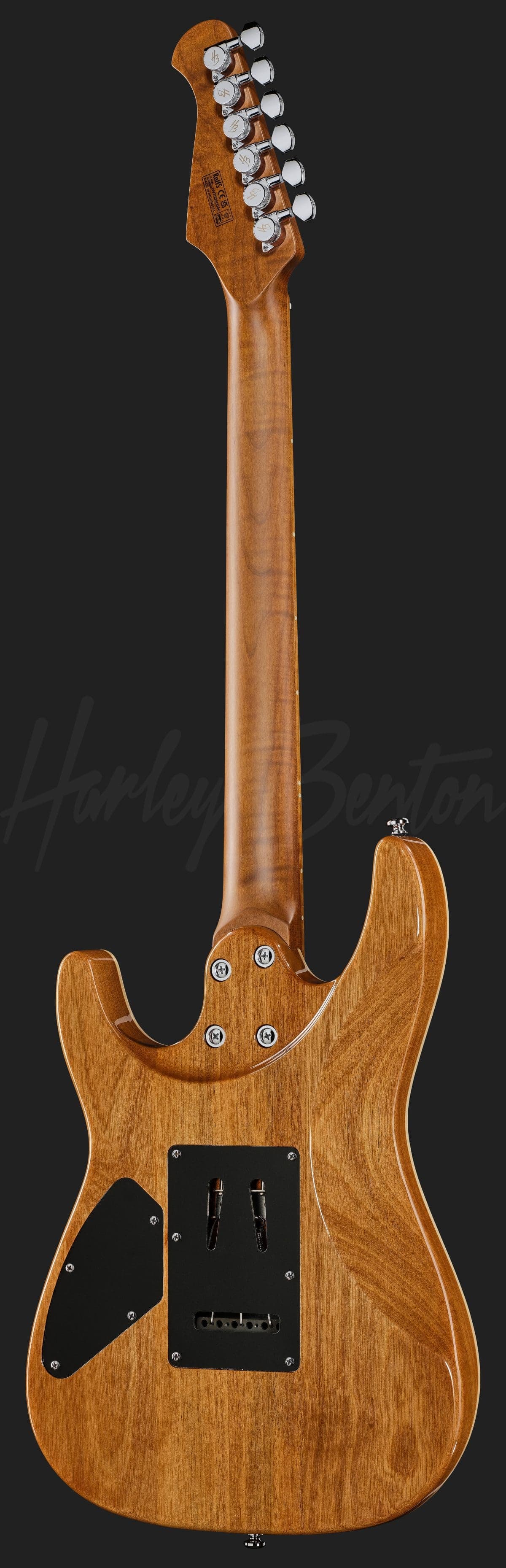 Harley Benton Fusion-IV HSS MN QRG — photo 3