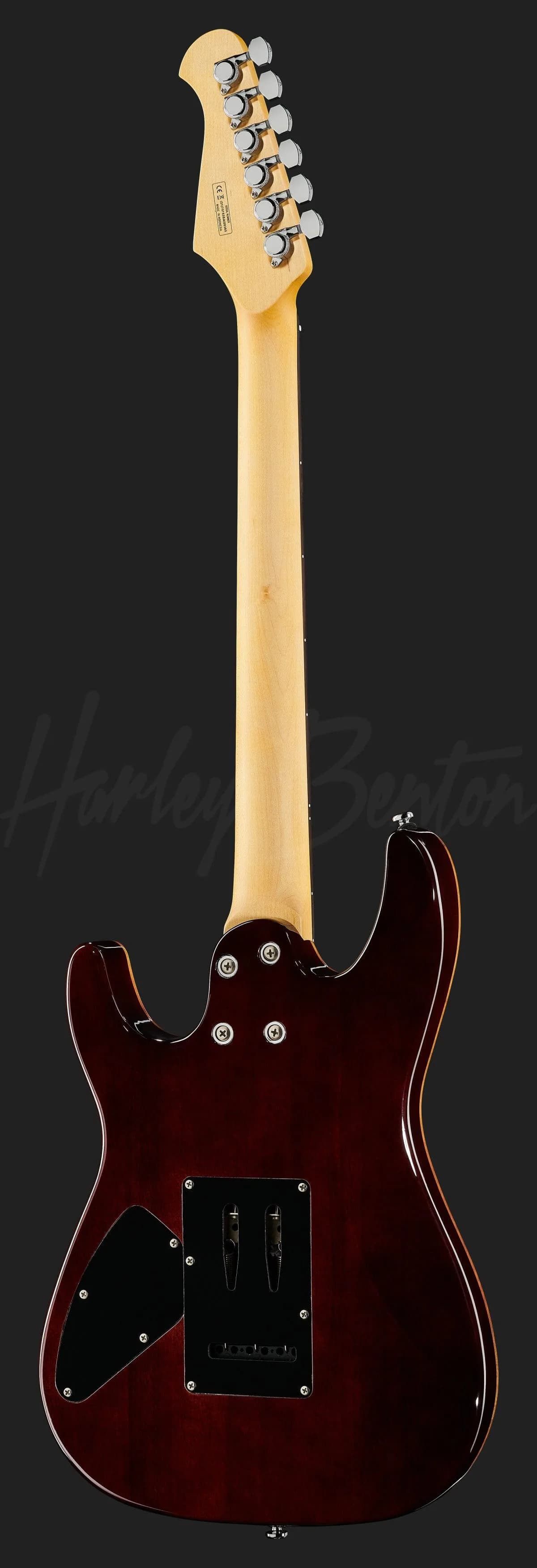 Harley Benton Fusion-III HH EB BK — photo 3