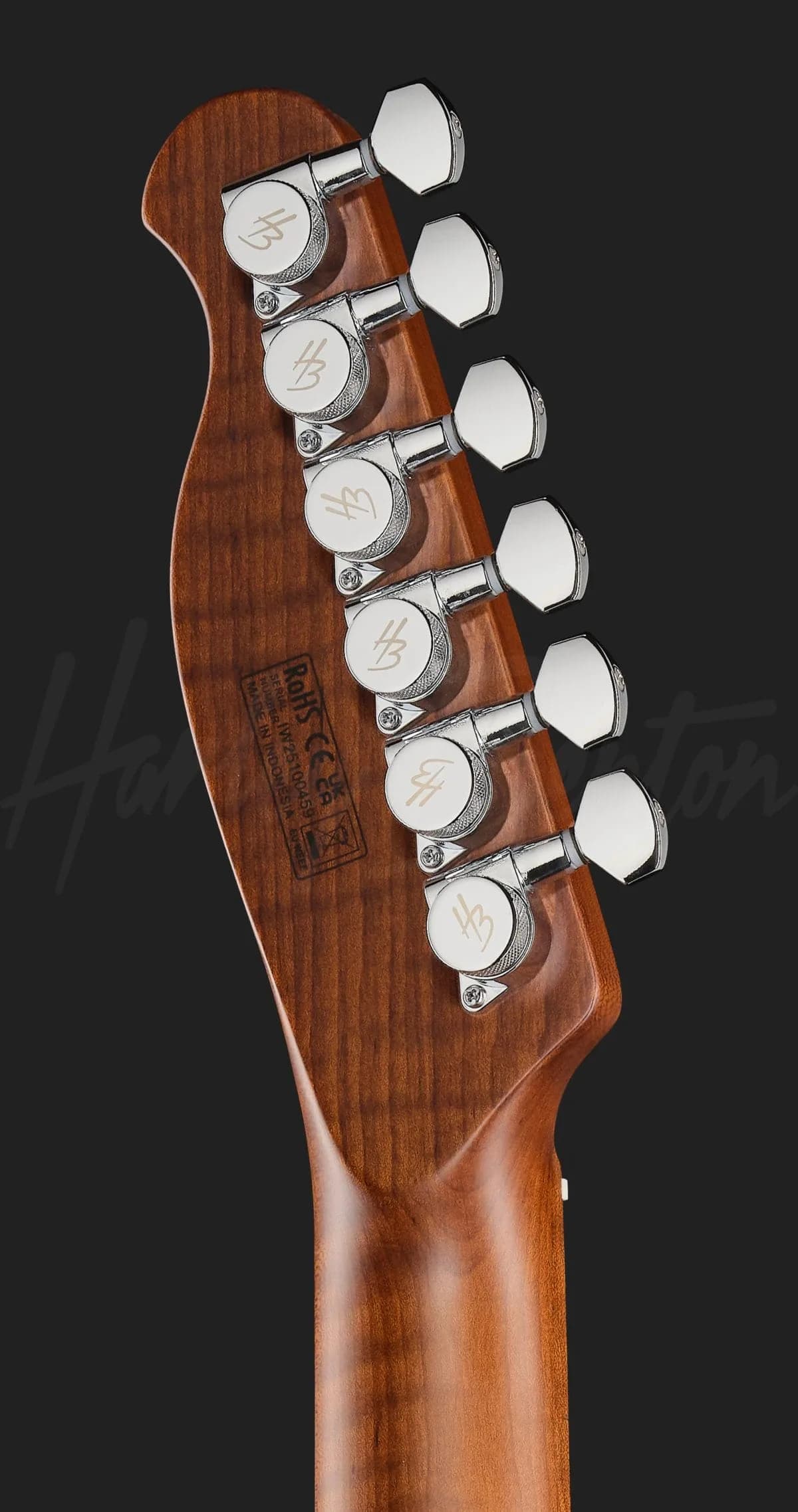 Harley Benton Fusion-T II HH MN SGR — photo 7