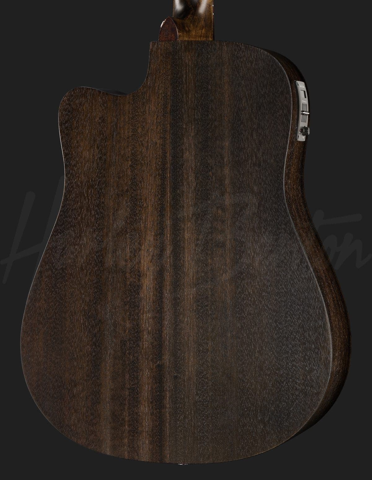 Harley Benton Delta Blues DCE — photo 7