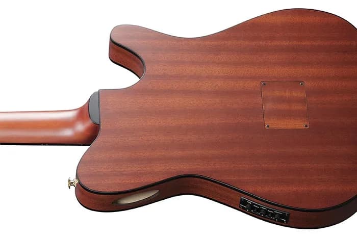 Ibanez FRH10NL — photo 3