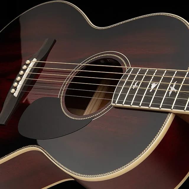 PRS SE P20E — photo 2