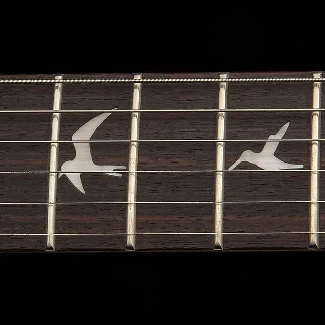 PRS SE CE 24 Standard Stoptail Satin — photo 6