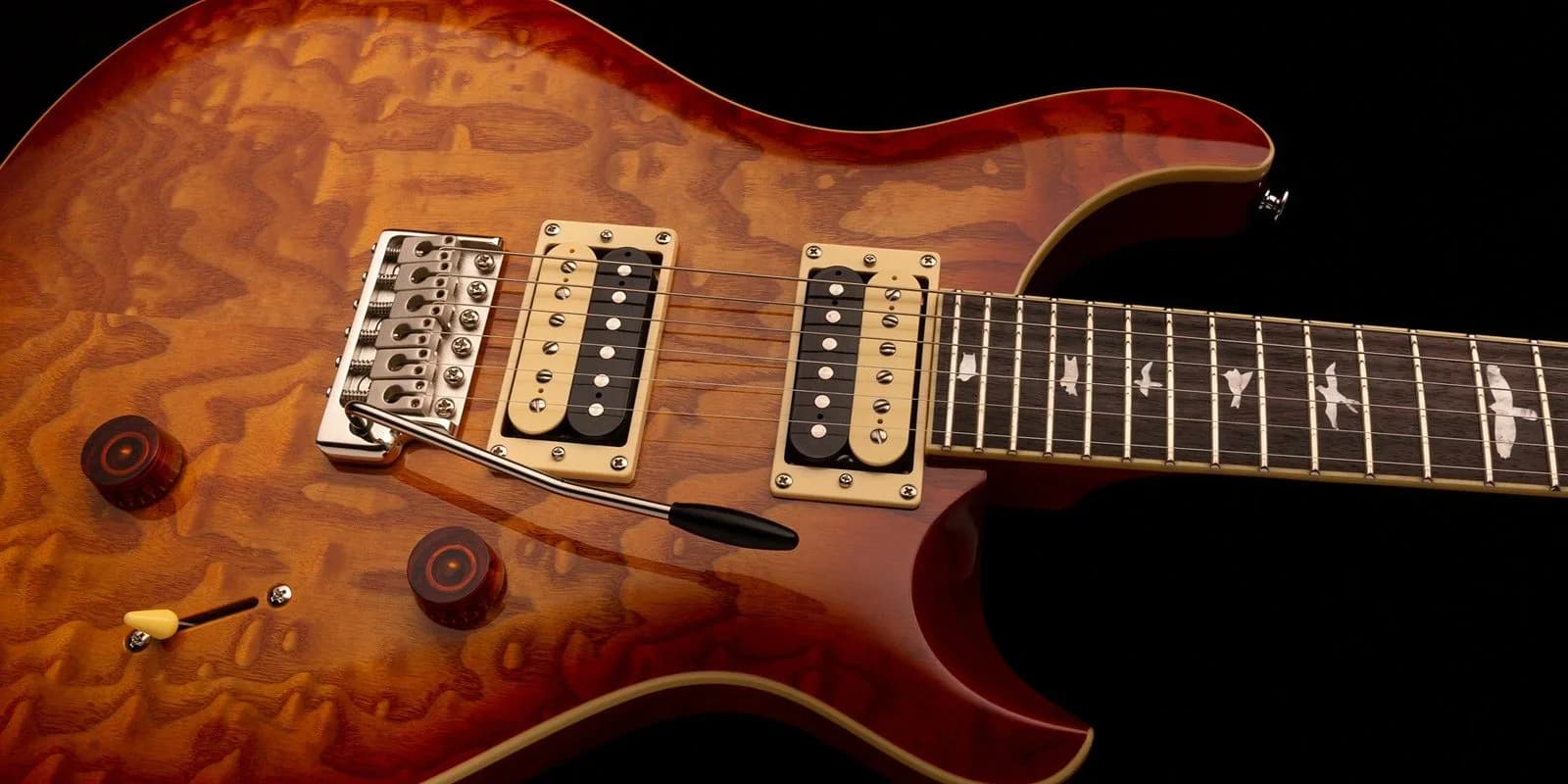 PRS SE Custom 24 Burled Ash
